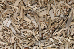 biomass boilers Twelvewoods